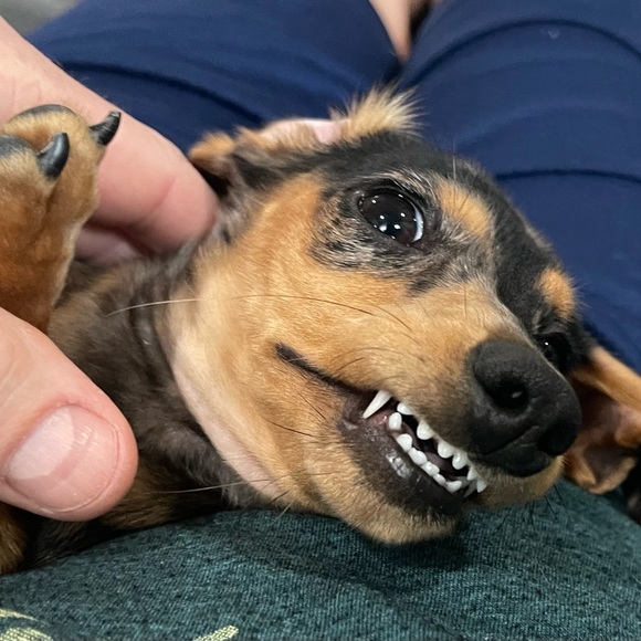 Hi Friend, I’m Christeena - Picture 13 of 16